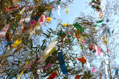 Tanzaku 'ya yazılmış renkli dilekler, ağaçta asılı küçük kağıt parçaları