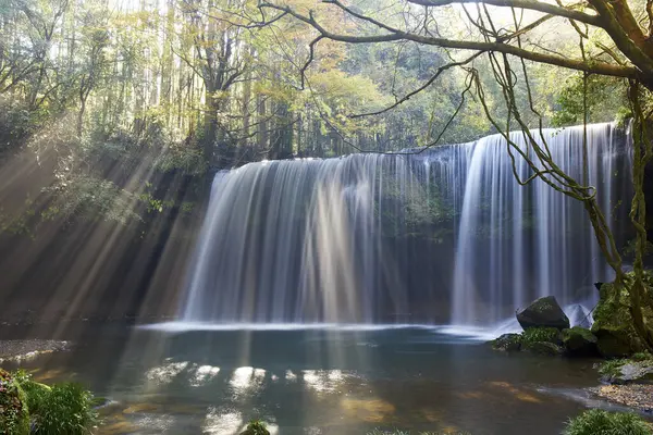 景色の森で日光と太陽の光で美しい滝 — ストック写真