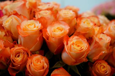 Vazoda bir buket turuncu gül, çiçek aranjmanı.