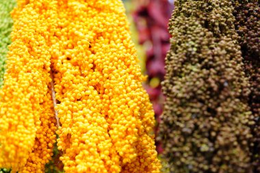 Kurumuş bir demet çiçeği kapat..