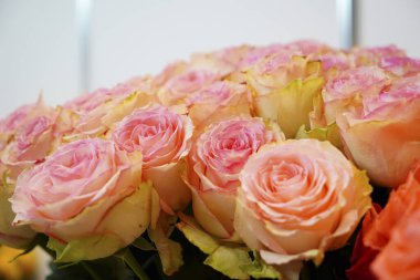 Güzel bir buket taze gül.