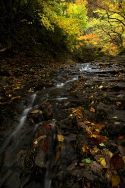 Güzel manzara. doğa arkaplanı