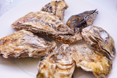 Beyaz tabakta servis edilen ızgara istiridye.