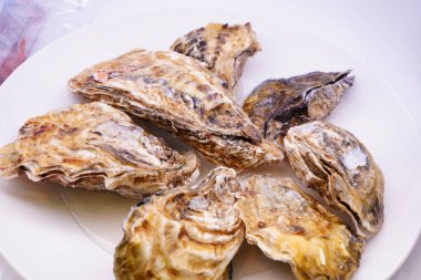 Beyaz tabakta istiridye manzarasını kapat 