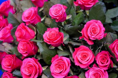 Cam vazo içinde pembe gül buketi