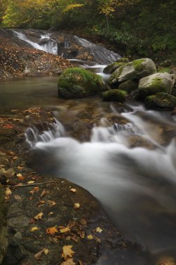 Dağlarda, doğa arka planında akarsu