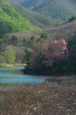 Nehrin güzel manzarası