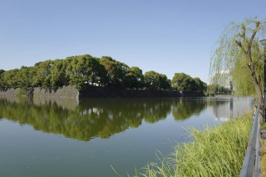 Park, Tokyo ve Japonya 'da nehir manzarası