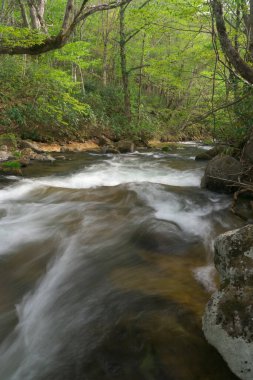 Dağlarda, doğa arka planında akarsu