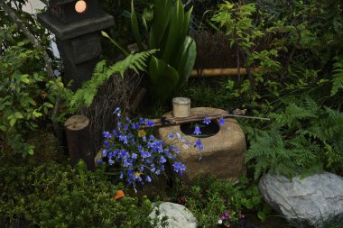 Tsukubai olarak bilinen su özellikli Japon bahçesi