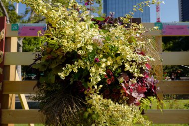 Dekoratif bahçede çiçekler