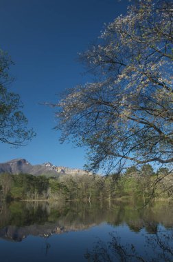 güzel göl manzarası