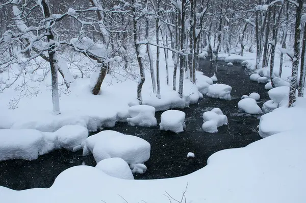 Ρυάκι Που Διασχίζει Δάσος Καλυμμένο Χιόνι — Φωτογραφία Αρχείου