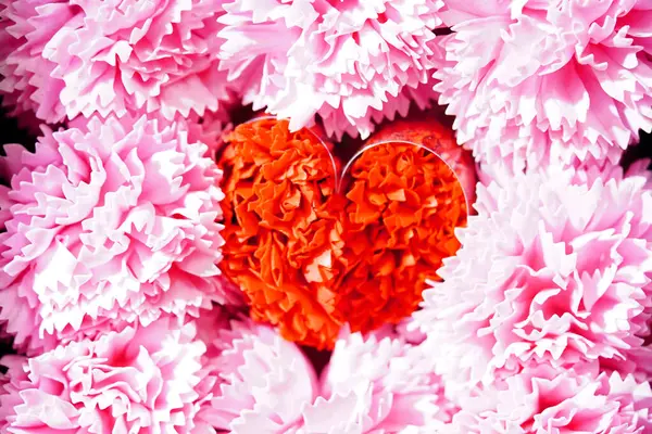 Frumoasă Floare Crizanteme Formă Inimă Fundal Roșu — Fotografie, imagine de stoc