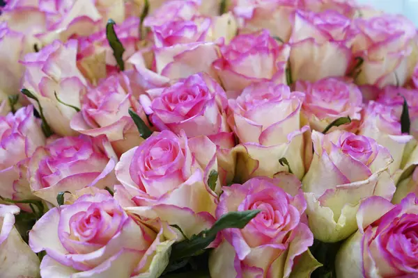 bouquet of beautiful pink roses in a shop