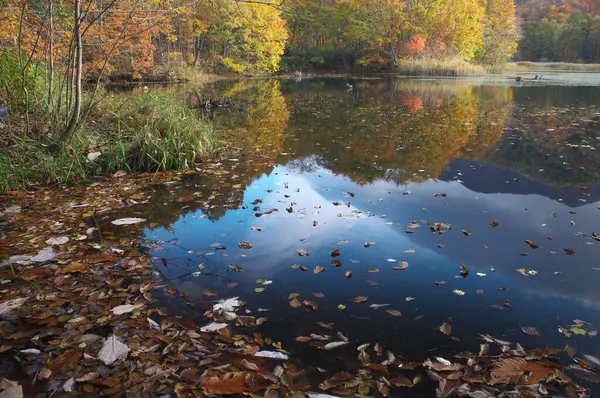 Красочные Осенние Деревья Озере — стоковое фото