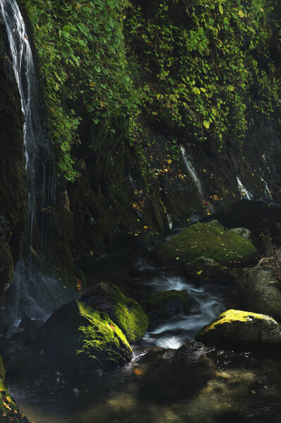 зеленый водопад в лесу на фоне природы