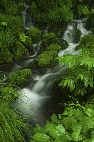 green waterfall in the forest on nature background