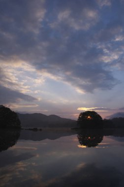 Arkasında bir ağaç ve günbatımı olan bir göl.