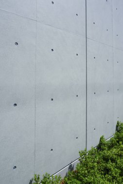 Yeşil bitkiler ve yapraklarla kaplı beton duvar.