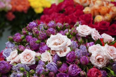 Güzel renkli çiçek arkaplanı