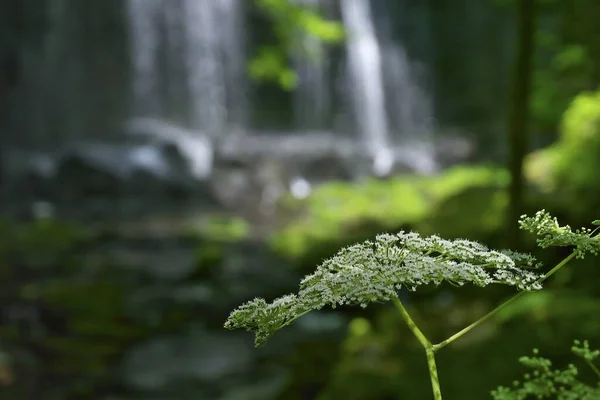 green waterfall in the forest on nature background