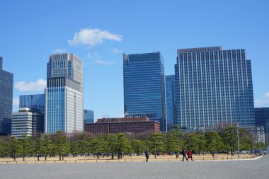 Meiji Seimei Kan binası ile Tokyo şehir manzarası, Japonya