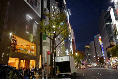 Tokyo, Japonya 'daki Ginza alışveriş merkezinin gece manzarası