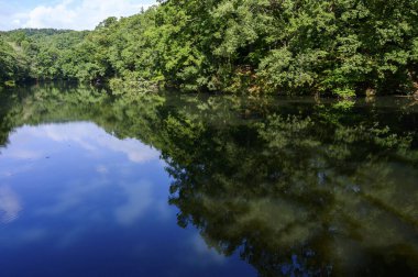 Güzel göl manzarası