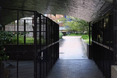 Yeşilliklerle dolu açık avluya çıkan tünellere.