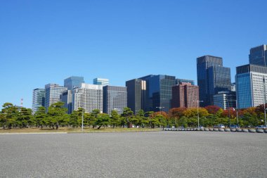 Tokyo sehri gökdelenleri ve mavi gökyüzü, Japonya