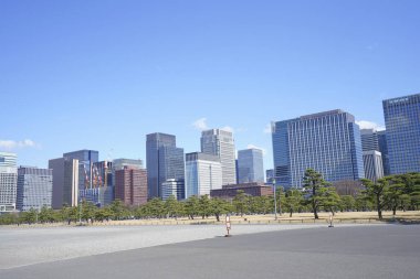 Meiji Seimei Kan binası ile Tokyo şehir manzarası, Japonya