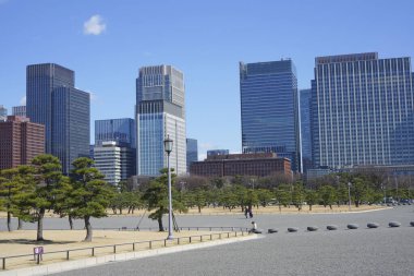 Meiji Seimei Kan binası ile Tokyo şehir manzarası, Japonya