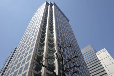 Yüksek binalar ve mavi gökyüzü - Tokyo, Japonya