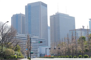 Yüksek binalar ve mavi gökyüzü - Tokyo, Japonya