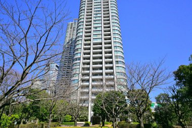 Yüksek binalar ve mavi gökyüzü - Tokyo, Japonya