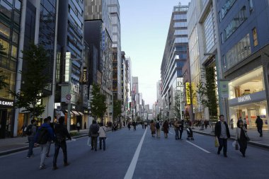 Tokyo şehrinin modern mimarisi Alacakaranlık zamanı, Japonya 