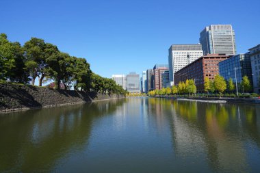 Şehirdeki göl ve modern binalar