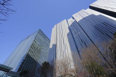 Şehirdeki modern ofis binaları, güneşli bir günde gökdelenler 