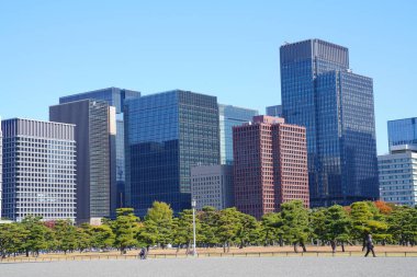 Tokyo gökyüzü ve şehir manzarası, Japonya 