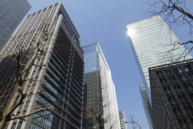 Yüksek binalar ve mavi gökyüzü - Tokyo, Japonya