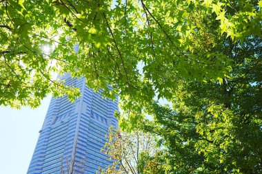 Modern gökdelen binası ve yeşil ağaçlar