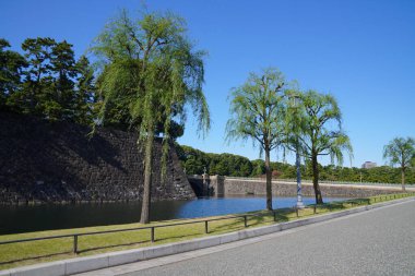 Tokyo 'daki Edo Kalesi ve Marunouchi Finansal Bölge Binaları