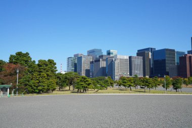 Tokyo şehir manzarası güneşli bir günde, Japonya
