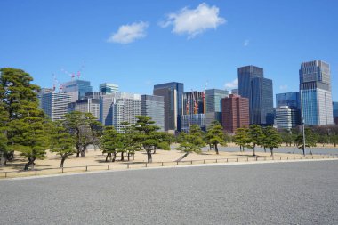 Tokyo, Japonya 'daki modern binaların ve yeşil ağaçların manzarası