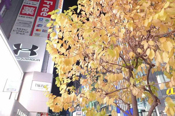 Edificios Iluminados Calle Ciudad Tokio Japón —  Fotos de Stock