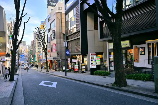 東京都のデイタイムビュー — ストック写真