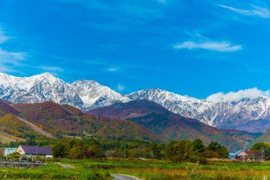 Japonya 'da renkli ağaçlarla dolu sonbahar manzarası