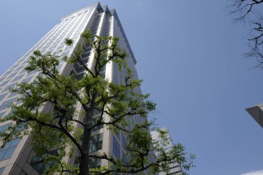 Yüksek binalar ve mavi gökyüzü - Tokyo, Japonya