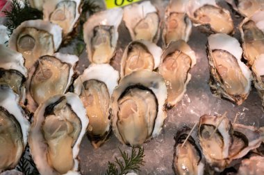 Buzlu taze istiridye, deniz ürünleri arka planı.